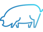 ico_1